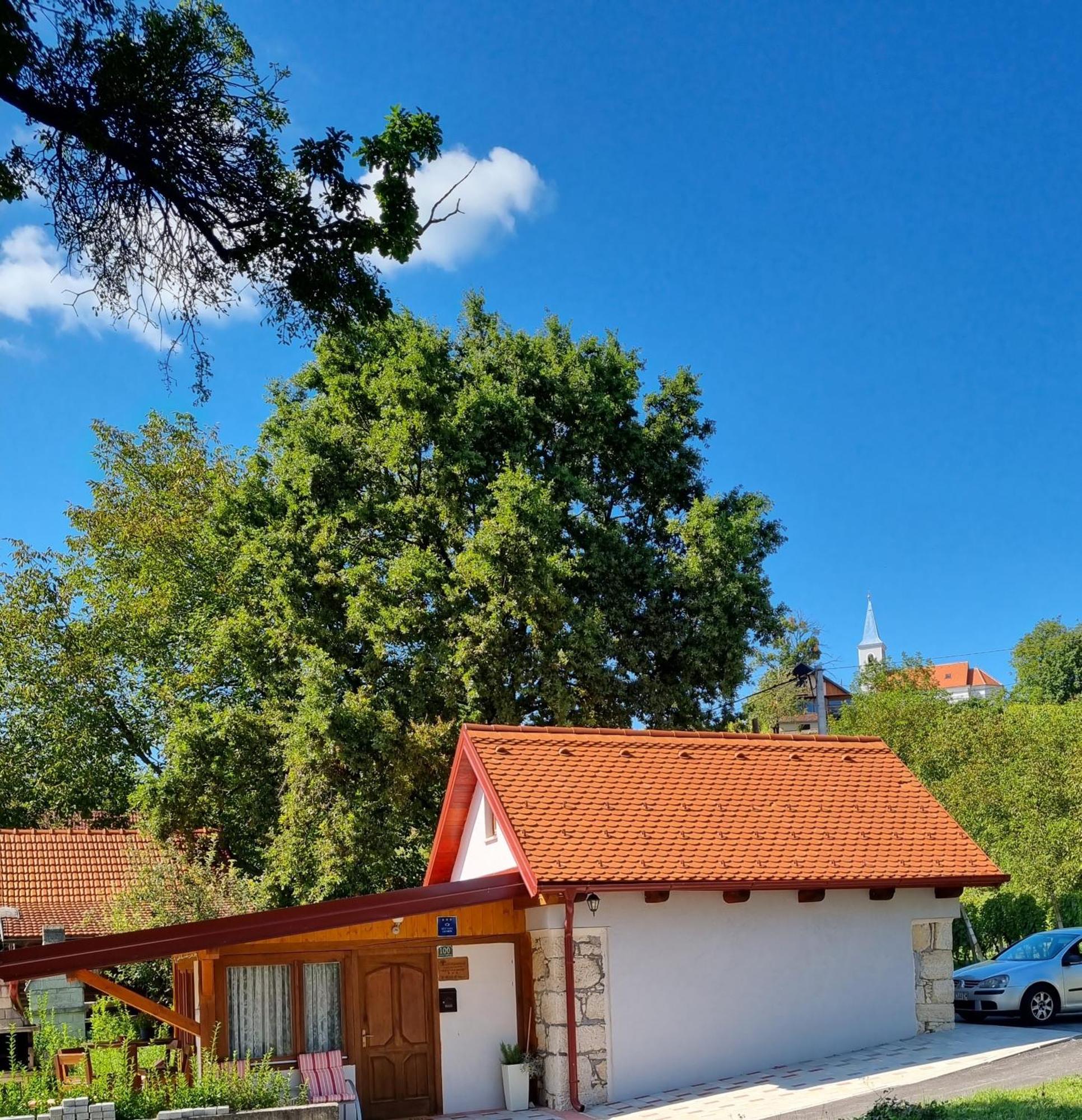 Holiday Old Stone House Sveti Ivan Zelina Экстерьер фото